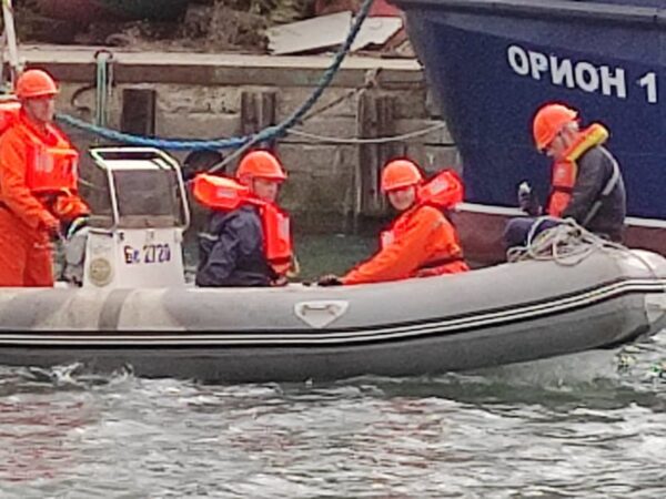 Curso de Operador de Seguridad Marítima y Acreditación STCW (2 en 1) - Imagen 3