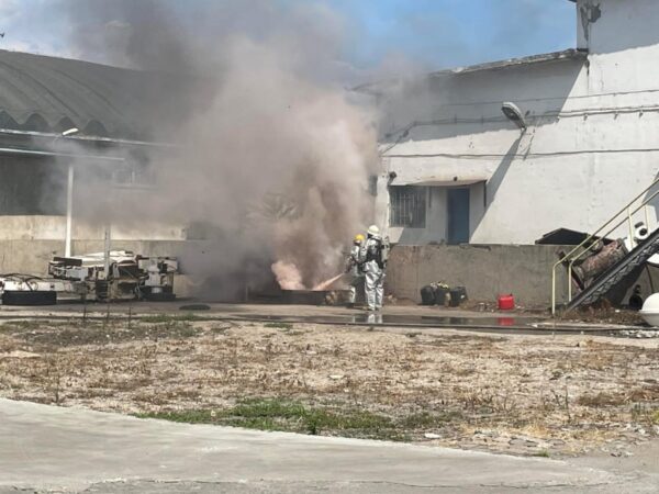 Curso de Operador de Seguridad Marítima y Acreditación STCW (2 en 1) - Imagen 5